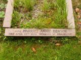 image of grave number 808519